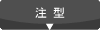 注型